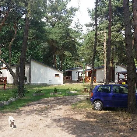 Osrodek Wypoczynkowy Sosenka *