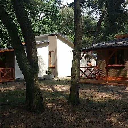 Ośrodek wypoczynkowy Osrodek Wypoczynkowy Sosenka Zaniemyśl