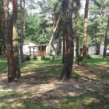 Ośrodek wypoczynkowy Osrodek Wypoczynkowy Sosenka
