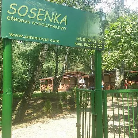 Osrodek Wypoczynkowy Sosenka Zaniemyśl