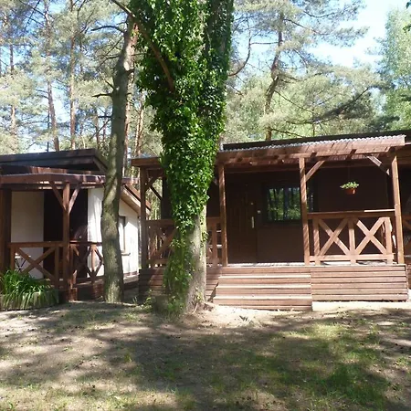 Osrodek Wypoczynkowy Sosenka אתר נופש Zaniemyśl